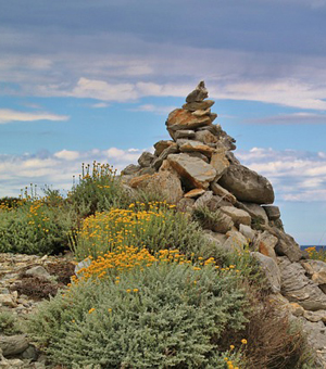 网页攻击器教程