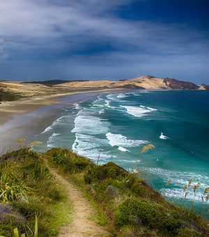 傻瓜式操作的ddos服务器攻击手段